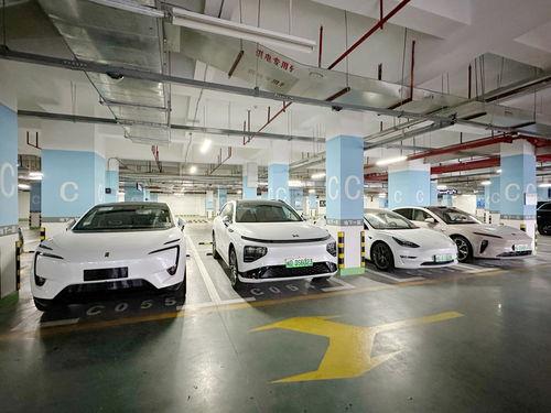 最新联赛车爆料新闻视频,揭秘新赛季战车阵容与战术革新